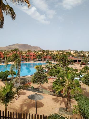 Apartamento Blue Ocean View Oasis Tamarindo 1