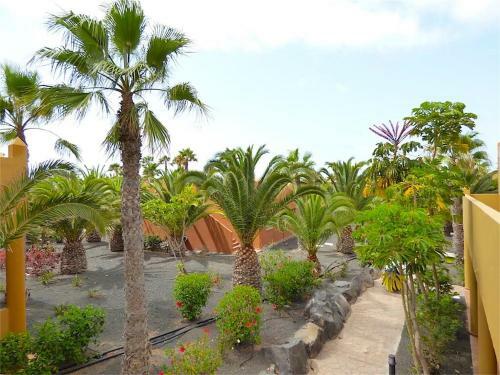 Apartamento Oasis Papagayo 27b