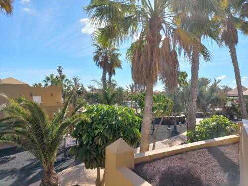 Apartamentos Corralejo Playa Oasis