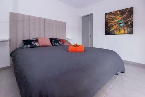 Apartamento Coloured Mansion In Corralejo