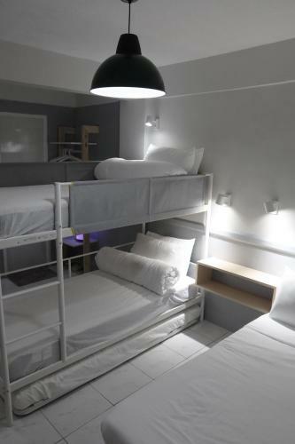 Dragonfly Apartments And Transient House