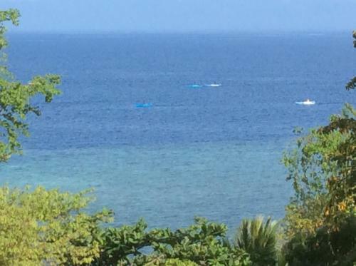 Hotel Cuestas Beach Resort And Restaurant