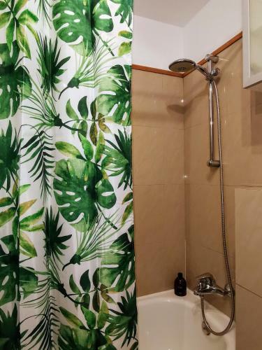 Apartamento Anais Dreams&relax