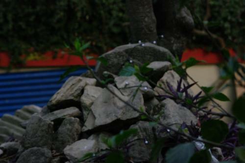 Hostal Laughing Buddha Hotel & Garden Theater