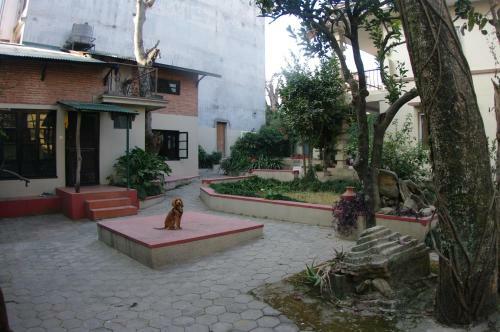 Hostal Laughing Buddha Hotel & Garden Theater