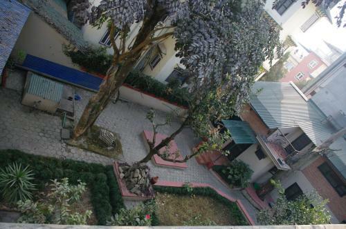 Hostal Laughing Buddha Hotel & Garden Theater