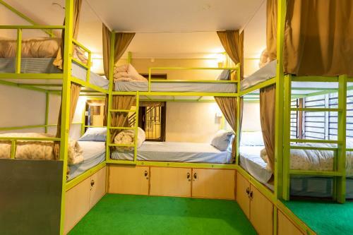 Big Tree Hostel