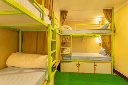 Big Tree Hostel