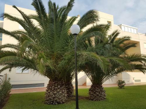 Apartamento Alondras Playa Denia