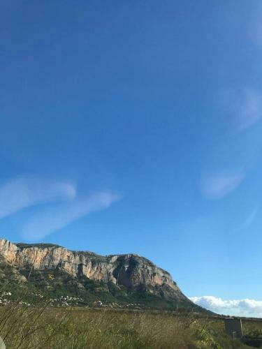 Apartamento Estudios Ram�n Llull