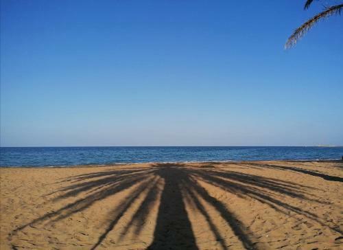 Apartamento Denia Playa Monta�as Y Mucho M�s