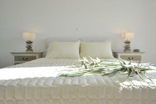 Apartamento Paros Butterfly Villas