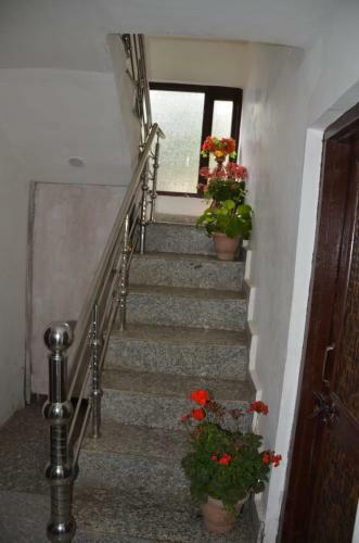 Hotel Chinar Palace