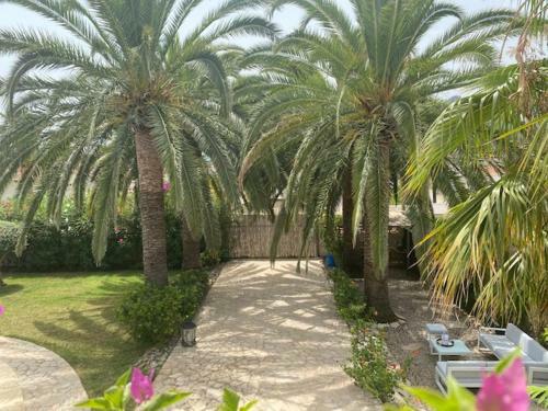 Villa Palmera Playa Almadrava, Els Poblets , Denia
