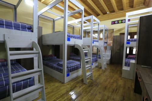 Yellow Hostel Dushanbe
