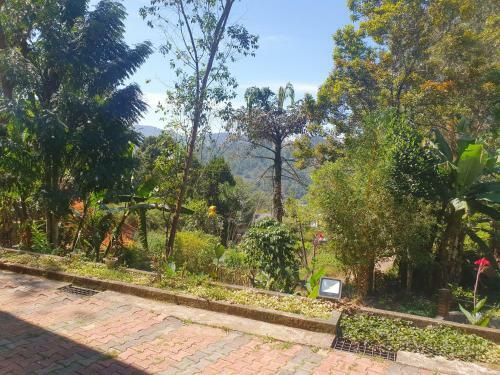 Hotel Blue Mountain Resort