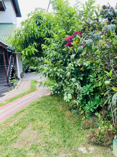 Hostal Hillcrest Holiday Homes