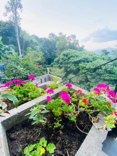 Hostal Hillcrest Holiday Homes