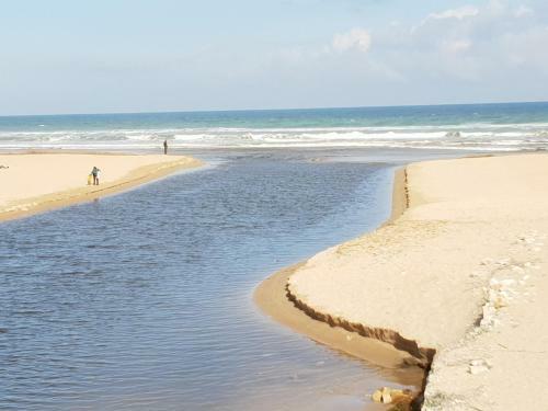 Apartamento Mar Y Sol, D�nia
