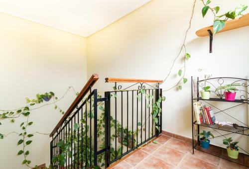 UNA Casa Con Vistas En Mula