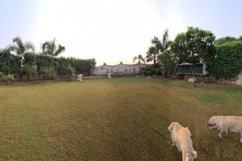Apartamento The Sun Set View Villa