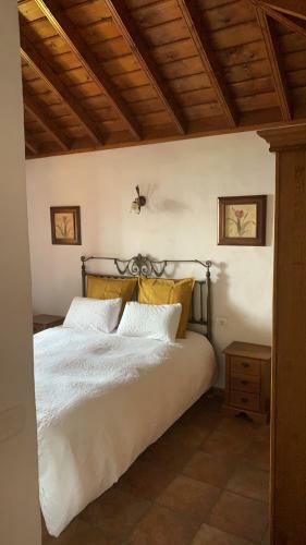 Apartamentos Villa El Topo