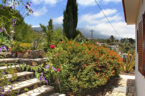 Hotel Jardin De Aridane