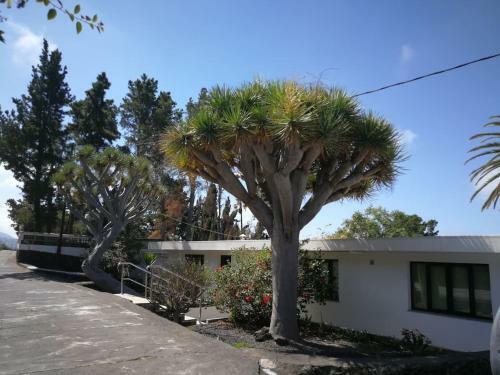 Casa Dos Dragos