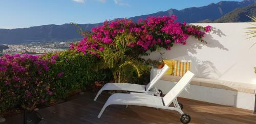 Bungalow La Datura