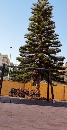 Apartamento En Residencial Tranquilo