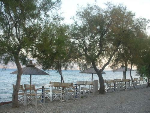 Hostal Star Hotel
