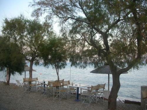 Hostal Star Hotel