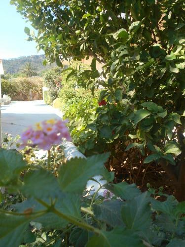 Apartamento Villa Sofia