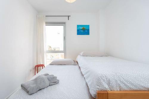 Apartamento El Medano Duplex 1ra Linea De Playa
