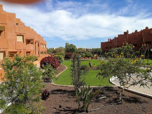 Apartamento Medano Sotavento. Pool, Great Terrace And Beach