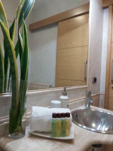 A&a El M�dano Apartment