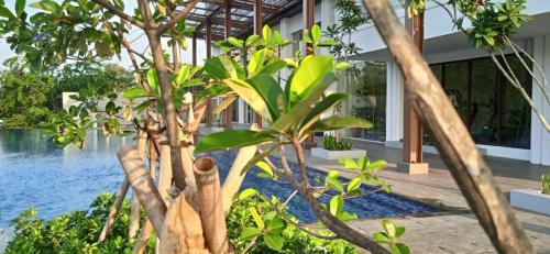 Apartamento Kawana Golf Residence