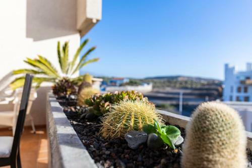 Apartamento The Rosuca Apt - By Medano4you