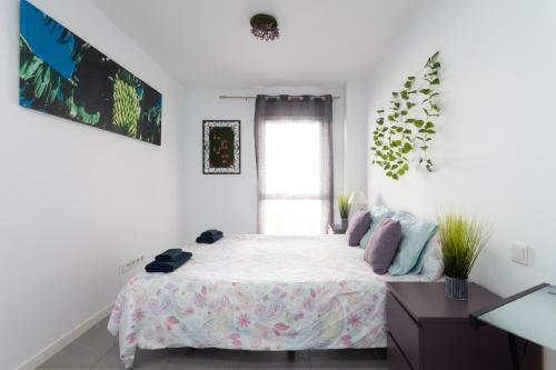 Blue Sea Apartments
