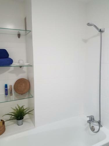 Apartamento Tatu Home Etvpl/15386