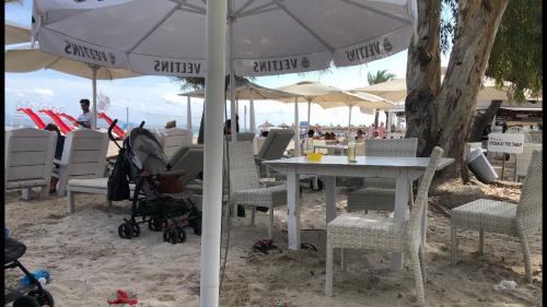 ***vacation Studio Apartment At Siesta Resort***