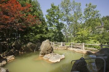Yumoto Shirogane-onsen Hotel
