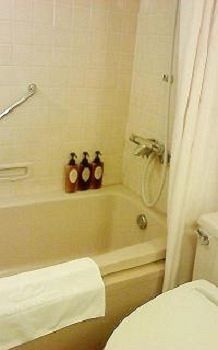 Rembrandt Hotel Atsugi