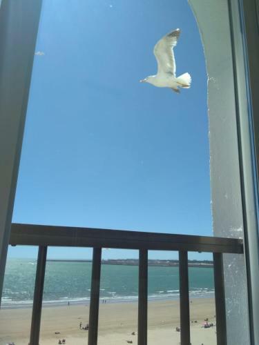 Apartamento Primera Linea de Playa En Valdelagrana
