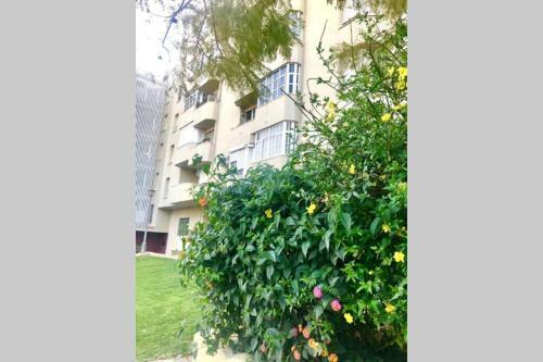 Apartamento Gatu Luz Del Puerto