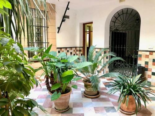 Apartamento Gatu La Posada Del Mercado