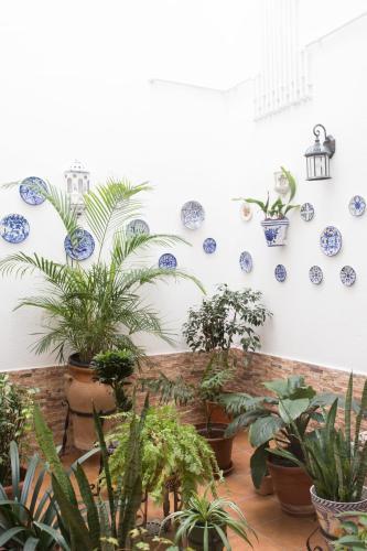 Apartamento Cielos 57