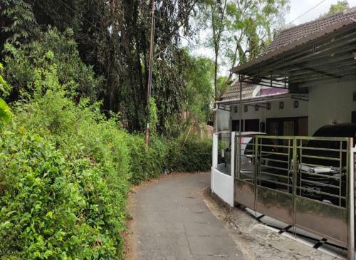 Hostal Omah Kemiri 3 Yogyakarta