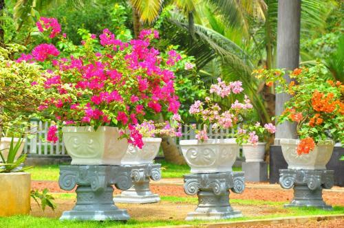 Bed & Breakfast Canal Villa