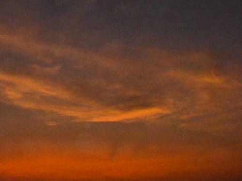 Hotel Apex Blue Bentota